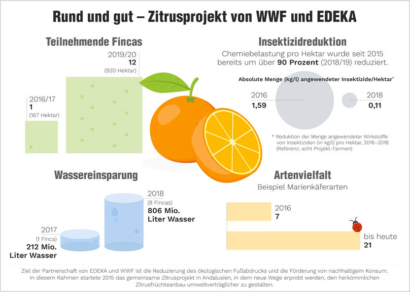 EDEKA hat die umweltfreundlichste Orange - Zitrusprojekt von WWF und EDEKA