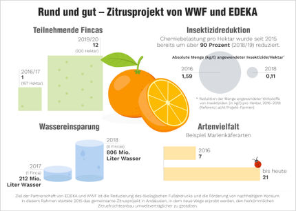 EDEKA-Verbund hat die umweltfreundlichste Orange