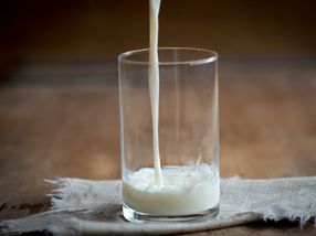 Kostensteigerungen belasten Molkereien und Milchbauern