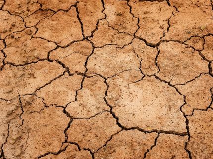 Global food production at risk of simultaneous heat waves across breadbasket regions