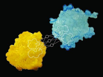 Vorhersage des Verhaltens eines Proteins aus seinem Aussehen heraus