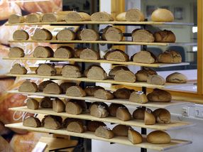 Plant researchers examine bread aroma