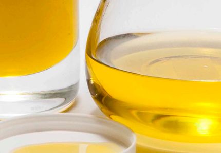 New olive oil created by CSIC helps prevent type 2 diabetes