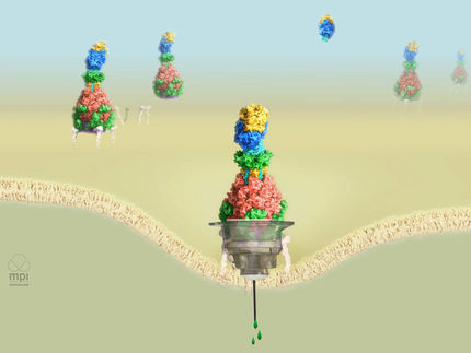 Protein injections in medicine