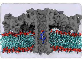 Aminosäuren unterscheiden: Grundlage für direkte Sequenzierung einzelner Proteine geschaffen