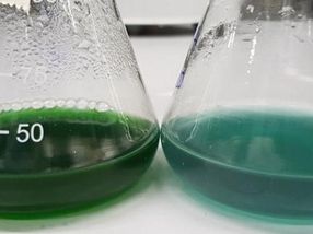New way to sustainably make chemicals by copying nature's tricks