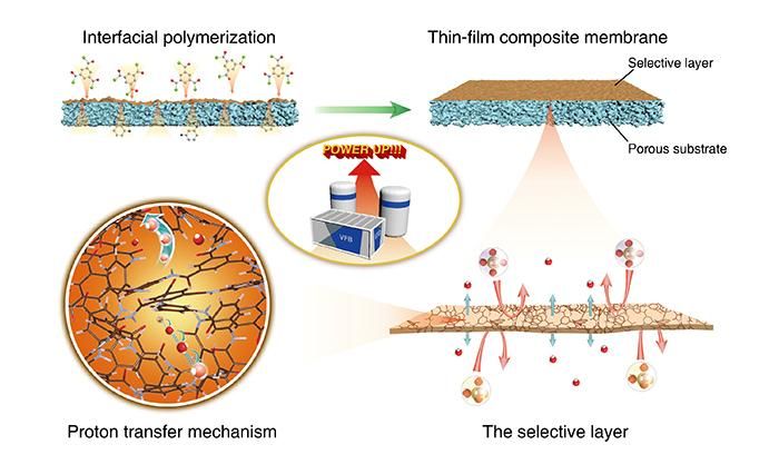 Membranas