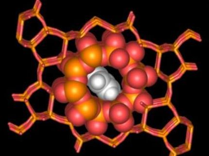 Researchers discover new building blocks of catalyst zeolite nanopores