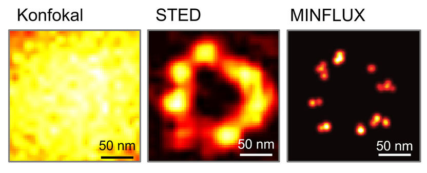 © Stefan Hell / Max-Planck-Institut für biophysikalische Chemie