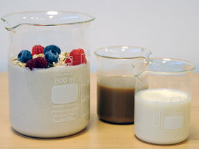 Veganer-'Joghurt' mit Milchsäurebakterien aus Pflanzen hergestellt
