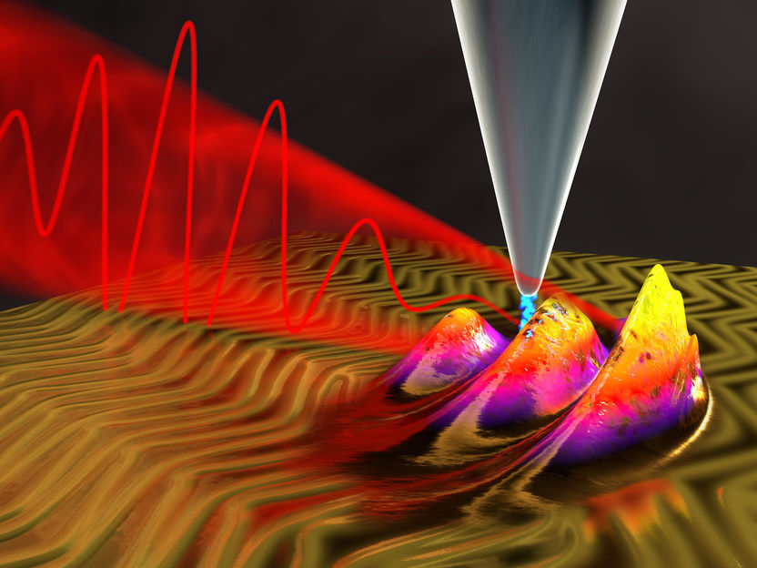 Microscopios más potentes gracias a la luz infrarroja