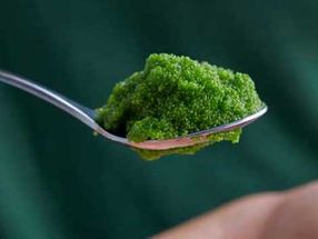 Researching a sustainable “superfood”