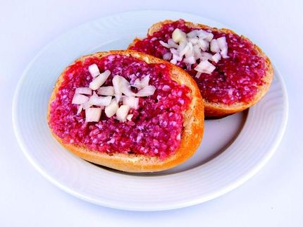 Schnelltest zum Nachweis von Salmonellen in Lebensmitteln