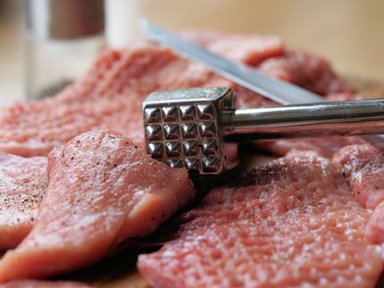 Weniger Fleisch aus deutschen Schlachtbetrieben