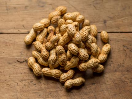 La FDA aprobó el primer medicamento para tratar la alergia al cacahuate en menores