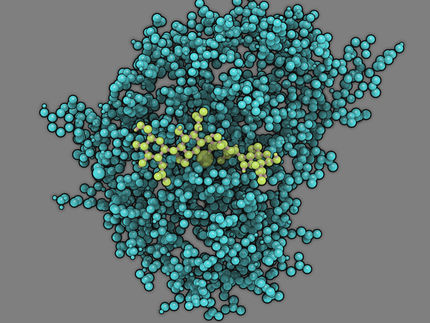 The invisibility cloak of a fungus