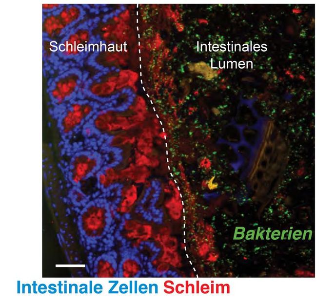 Bahtir Yilmaz, Universität Bern