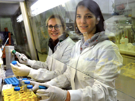 Natürliche Killerzellen produzieren Botenstoff zur Virusabwehr