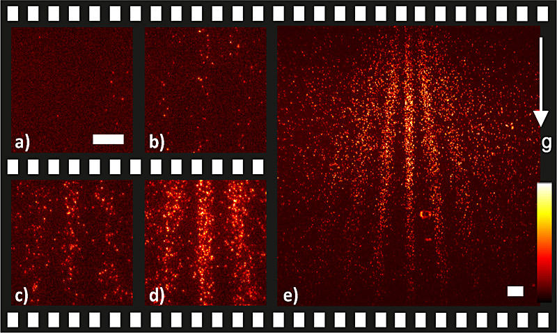 Video reveals wave character of particles - Wave properties of individual heavy molecules can also be observed experimentally
