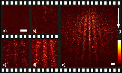 Video reveals wave character of particles