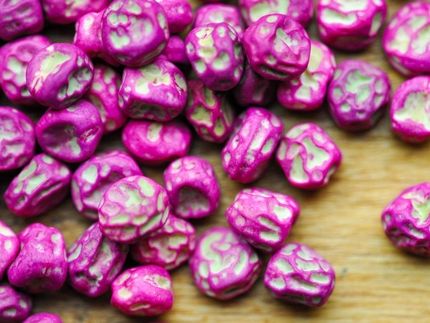 Mit Pestiziden gebeiztes Saatgut.