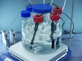 Use of low-energy electrons for innovative biotechnology processes