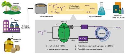 Scientists use light to convert fatty acids into alkanes