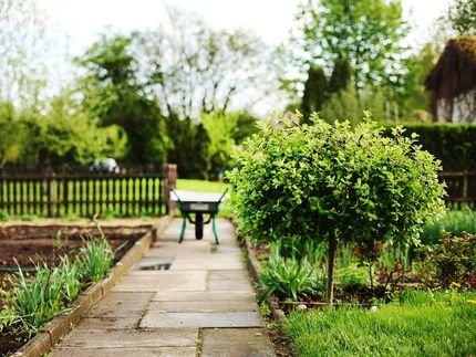 Garten