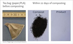 Bolsas de té de papel compostable/PLA certificadas por Seedling EN13432 - antes y después de 22 días de compostaje en una instalación de compostaje industrial.