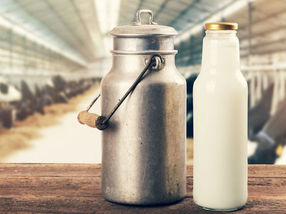 Es gibt Hinweise darauf, dass das konsequente Trinken von nur einer Tasse Milch pro Tag die Brustkrebsrate um bis zu 50% erhöhen kann.