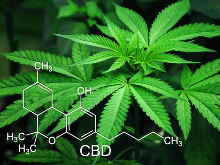 Edibles and drinkables are leading Canada’s legal cannabis market in 2020
