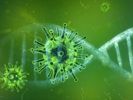 Coronavirus