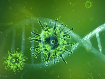 Übertragung des Coronavirus durch importierte Lebensmittel unwahrscheinlich