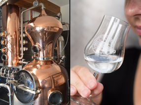 Brennerei 4.0: Die Forschungs- und Lehrbrennerei der Universität Hohenheim digitalisiert eine Destillationsanlage – für bessere Spirituosen