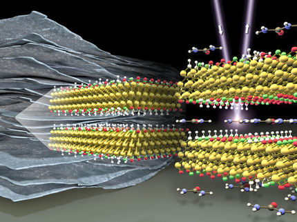 Schnell und stark: Neue 2D-Materialien mit Talent zur Energiespeicherung