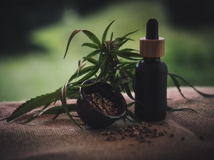 Wohlbefinden durch Lebensmittel aus Hanf