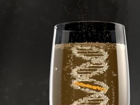 Se ha descubierto un nuevo mecanismo de reparación de daños en el ADN inducidos por el alcohol