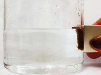 Superhydrophober Magnetschwamm reinigt Wasser von Öl