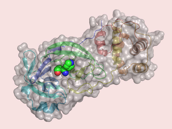 University of Basel, Computational Pharmacy