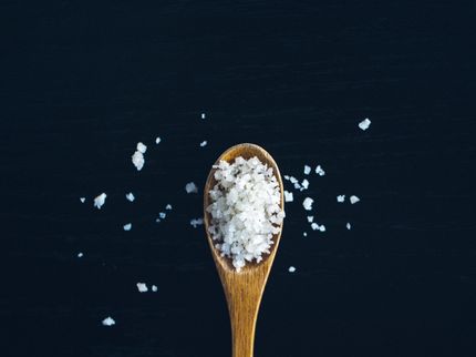 Reducing Salt in Processed Food & Coatings