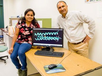 Chemists create new artificial enzyme