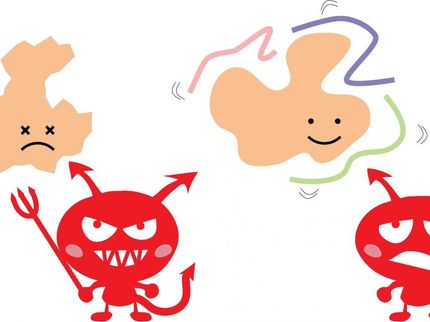 Hero proteins are here to save other proteins