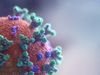Coronavirus: no evidence that food is a source or transmission route
