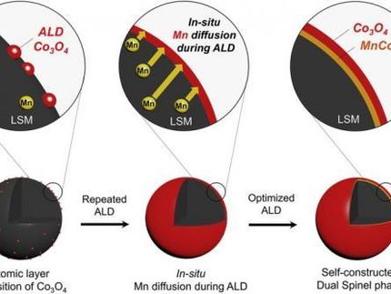 New catalyst provides boost to next-generation EV batteries