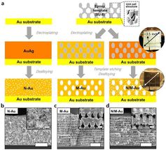 Hierarchisch poröser, nanostrukturierter 3D-Katalysator hilft bei der effizienten CO2-Reduzierung