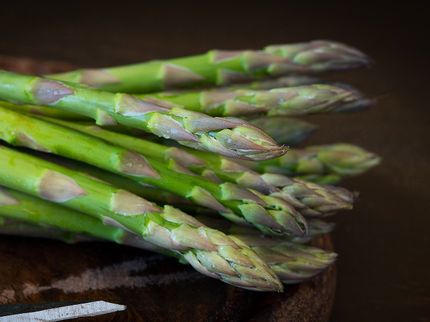 Kritik an Hamsterkäufen - Sorgen bei Spargelbauern