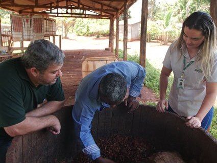 Cargill joins efforts to increase cocoa productivity in Pará while restoring forest areas