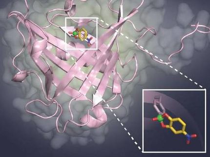 Blocking sugar structures on viruses and tumor cells