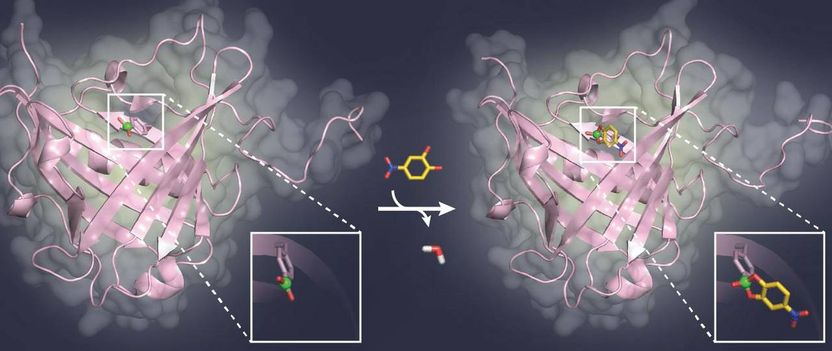 TUM-Chair of Biological Chemistry