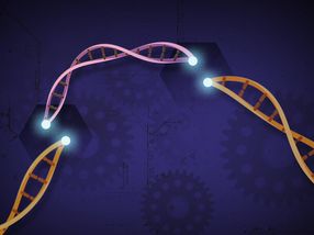 Neue leistungsfähigere Methode zur Genombearbeitung